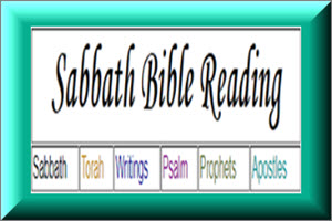 Bible Reading